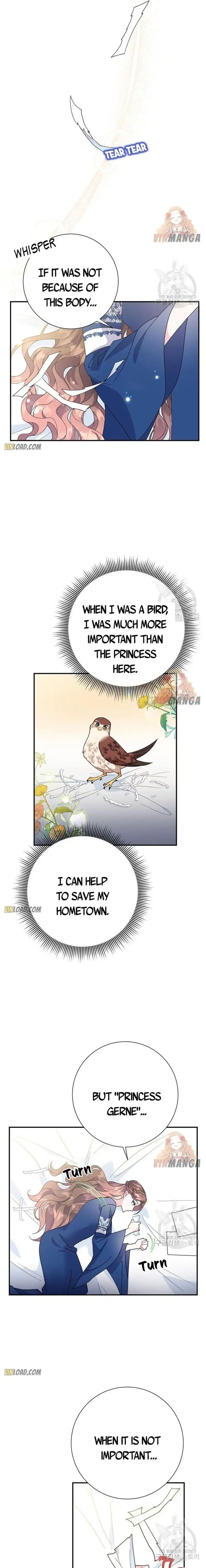Carrier Falcon Princess Chapter 46 11